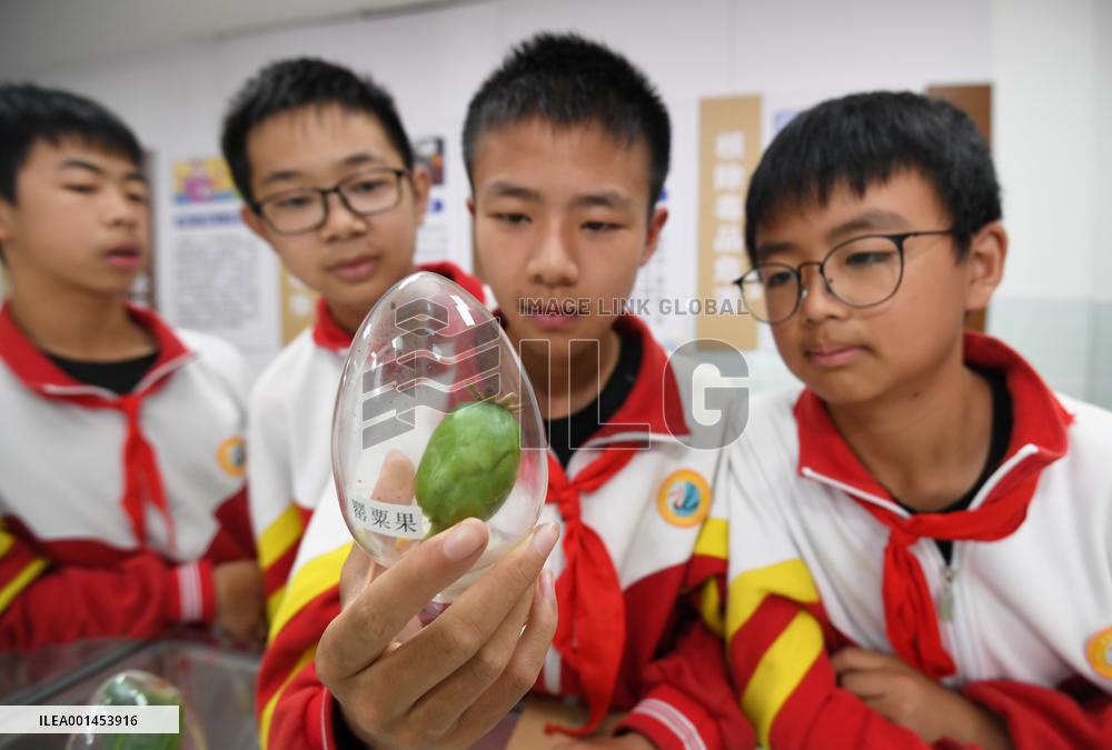 Anti-drug Knowledge Popularize In China