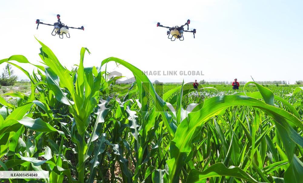 Intelligent Agriculture in China