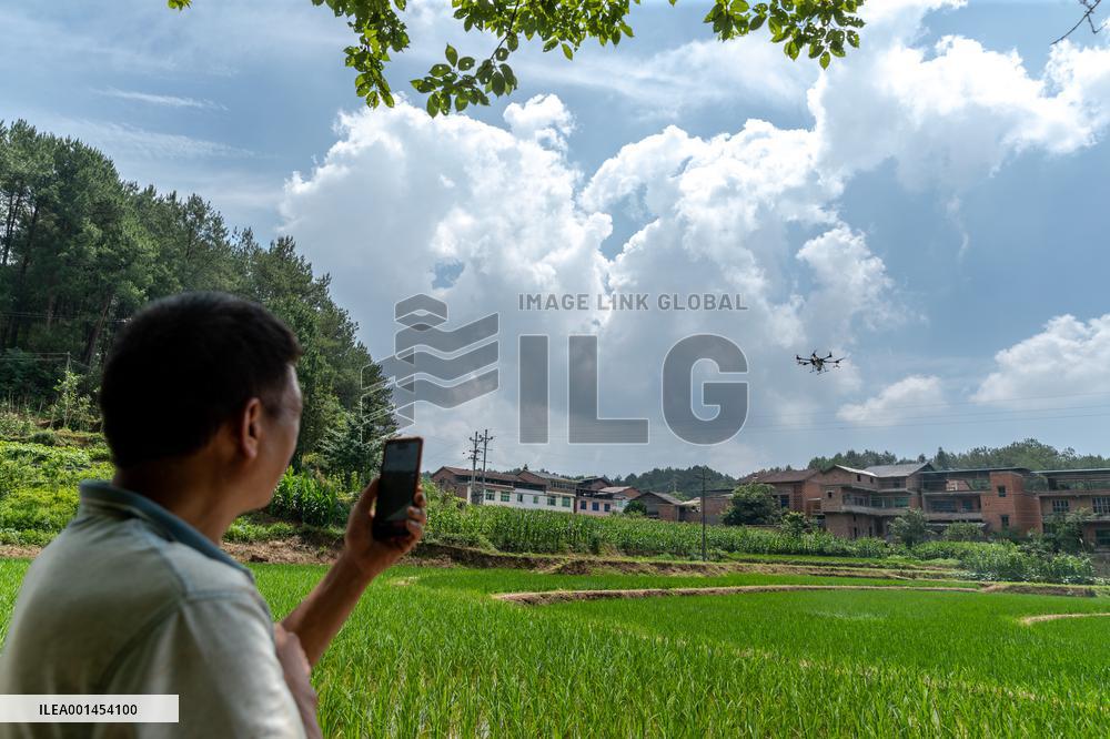 Drone Intelligent Agriculture in China