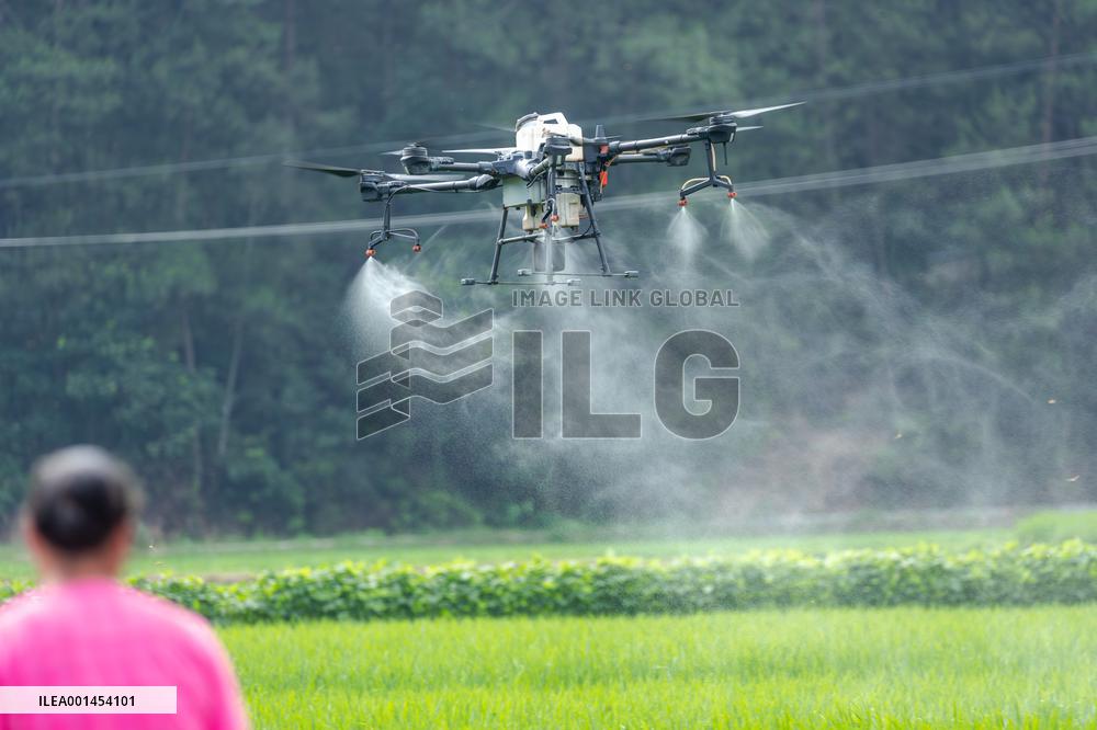 Drone Intelligent Agriculture in China