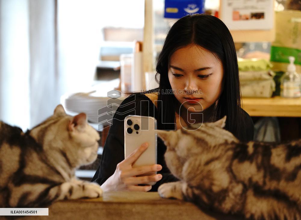 CHINA-BEIJING-DAILY LIFE-CAT CAFE (CN)