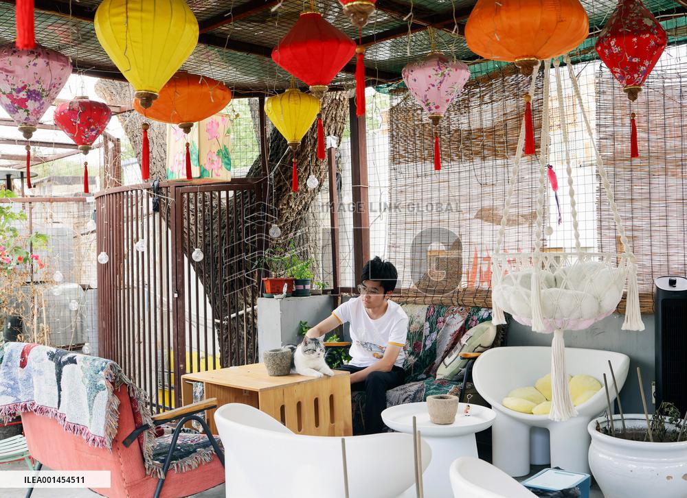 CHINA-BEIJING-DAILY LIFE-CAT CAFE (CN)