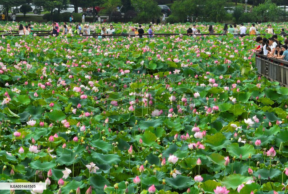 #CHINA-DRAGON BOAT FESTIVAL-HOLIDAY (CN)