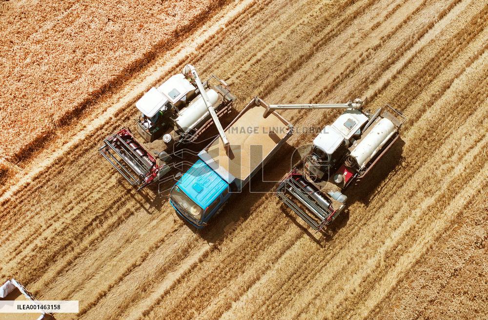 Xinhua Headlines: China's bumper harvest brings confidence amid global inflation