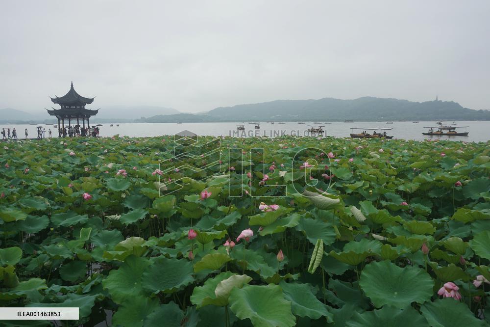 2023 Dragon Boat Festival Holiday Tourism