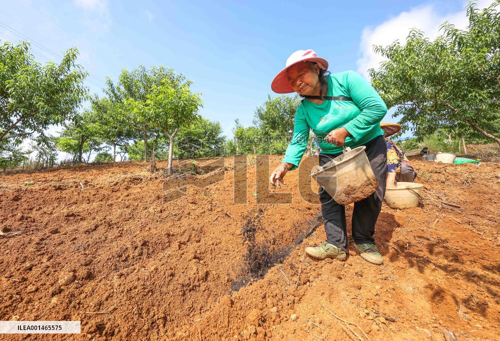 National Land Day Farmer