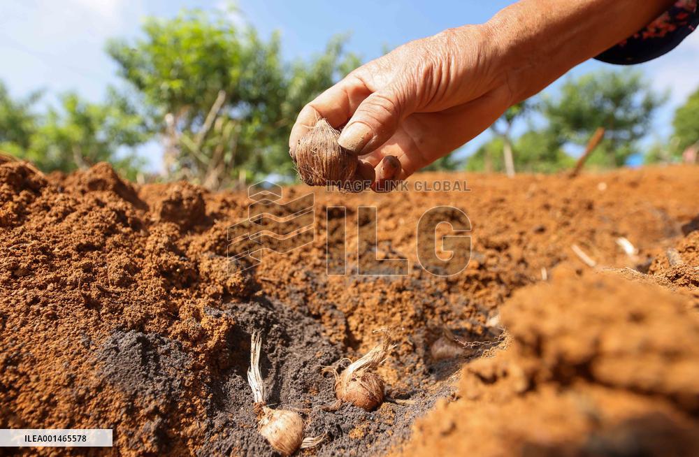 National Land Day Farmer