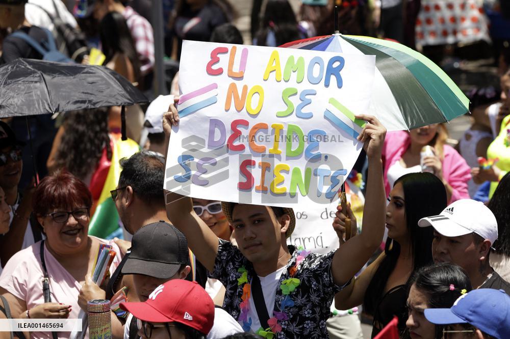 250,000 People Participate Pride March In Mexico