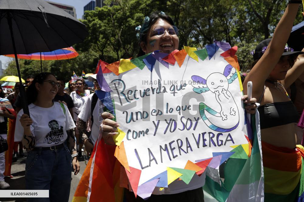 250,000 People Participate Pride March In Mexico