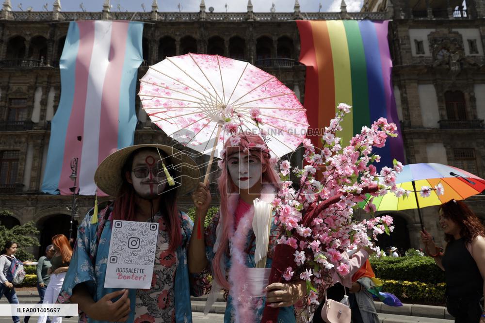 250,000 People Participate Pride March In Mexico