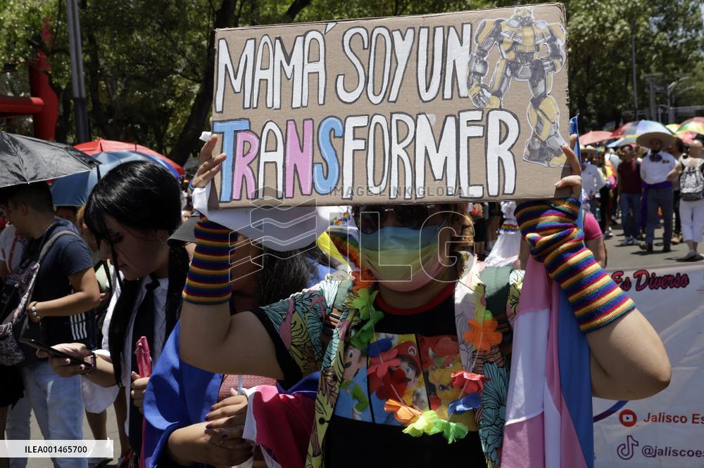 250,000 People Participate Pride March In Mexico