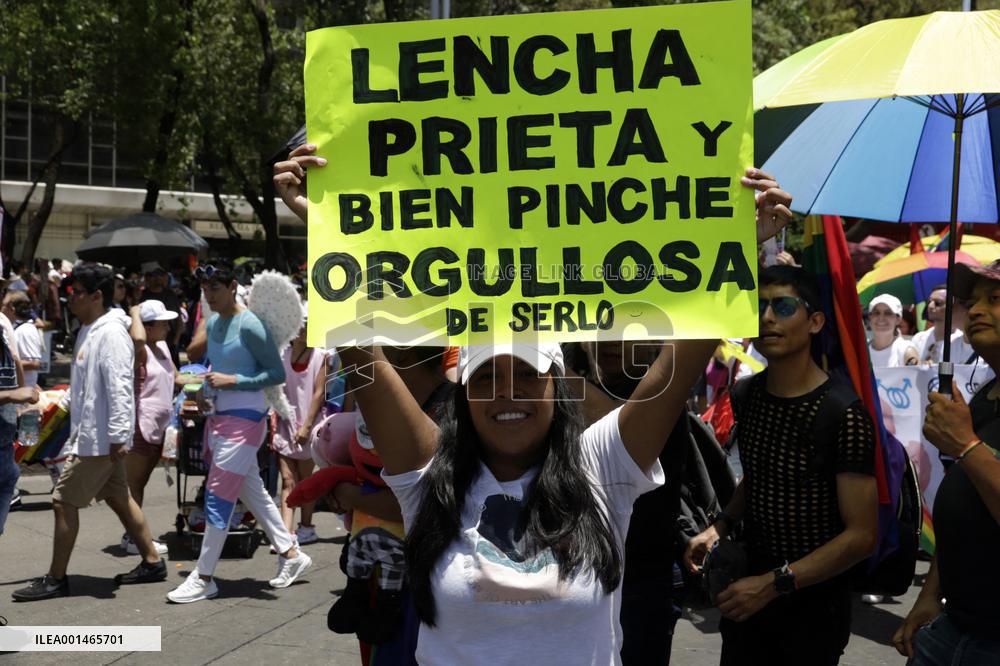 250,000 People Participate Pride March In Mexico