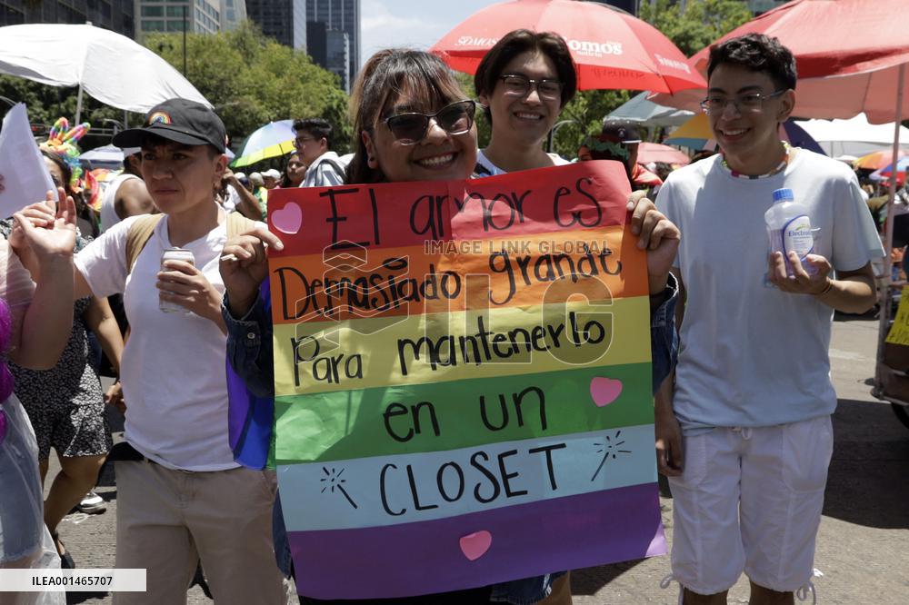250,000 People Participate Pride March In Mexico