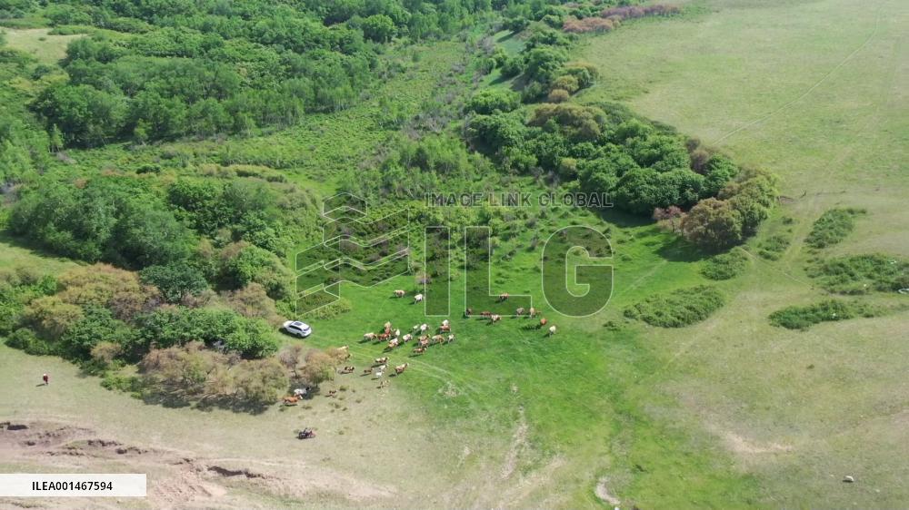 Stunning views of Ar Horqin Grassland in China's Inner Mongolia