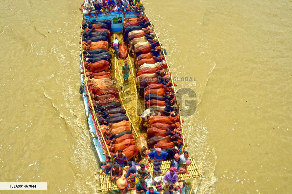 BANGLADESH-MUNSHIGANJ-CATTLE-MARKET