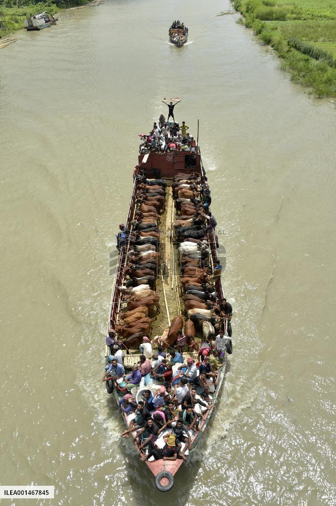 BANGLADESH-MUNSHIGANJ-CATTLE-MARKET