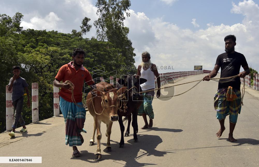 BANGLADESH-MUNSHIGANJ-CATTLE-MARKET