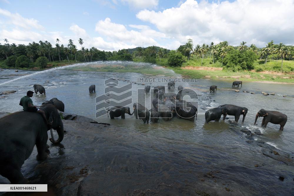 SRI LANKA-ELEPHANT-BATHING