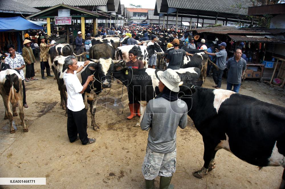 INDONESIA-LIVESTOCK-MARKET-EID AL-ADHA