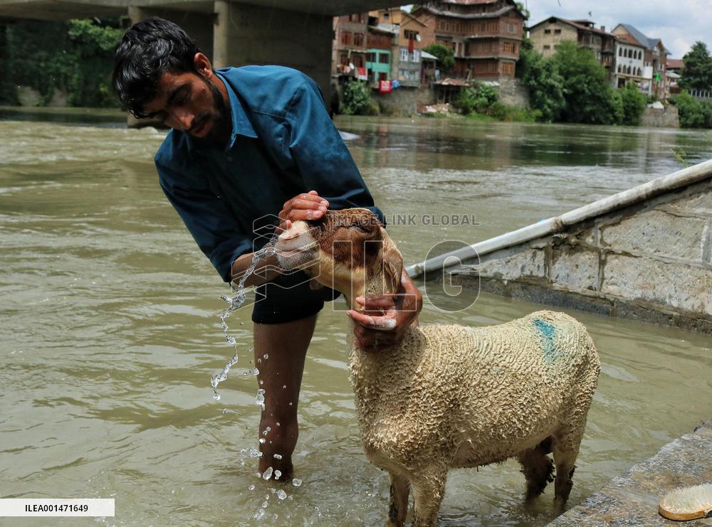 Eid al-Adha Celebration - Kashmir
