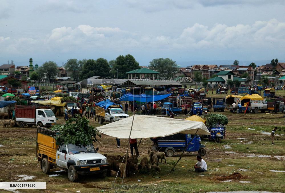 Eid al-Adha Celebration - Kashmir