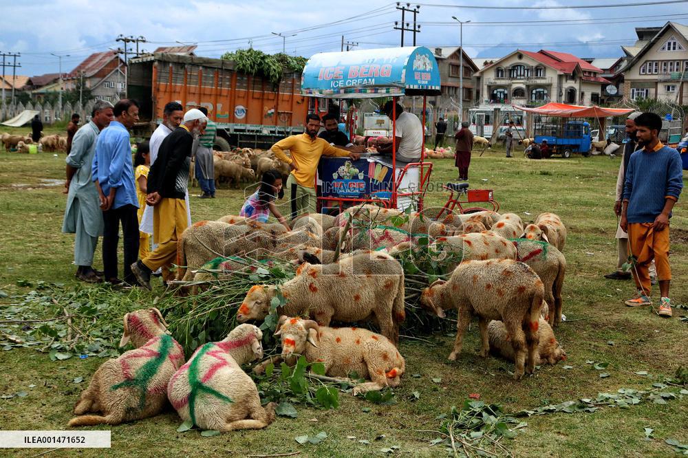 Eid al-Adha Celebration - Kashmir