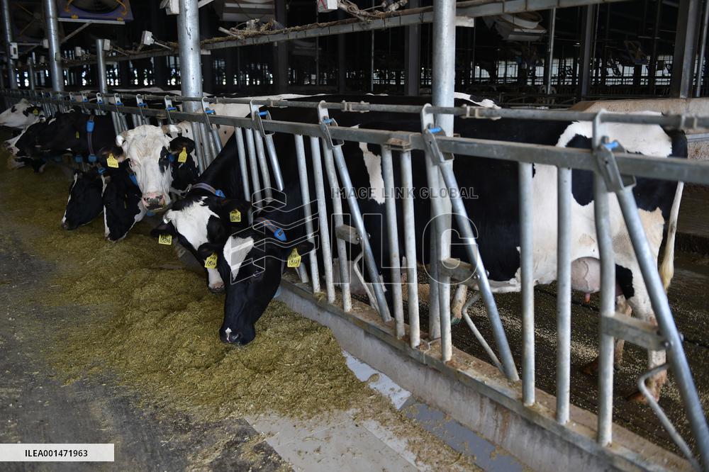 Modern Dairy Farm