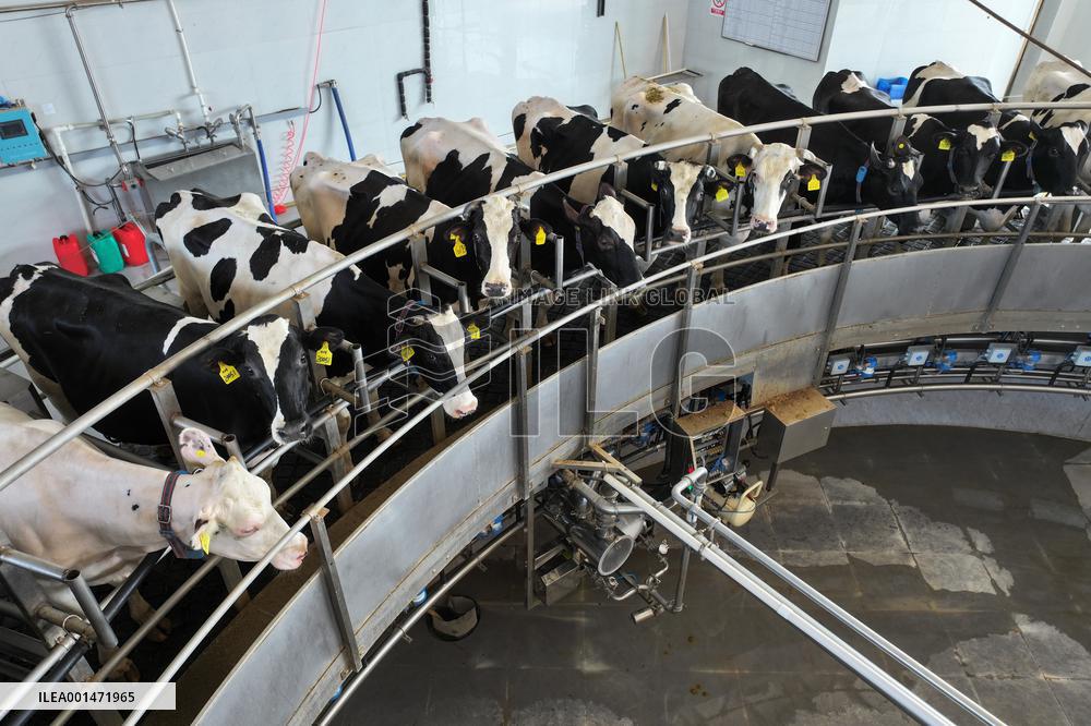 Modern Dairy Farm
