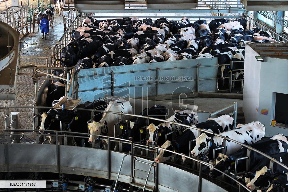 Modern Dairy Farm