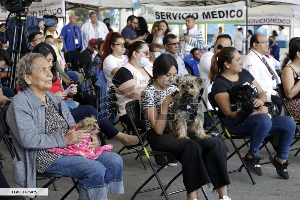 Anti-Rabies Campaign Begins - Mexico City