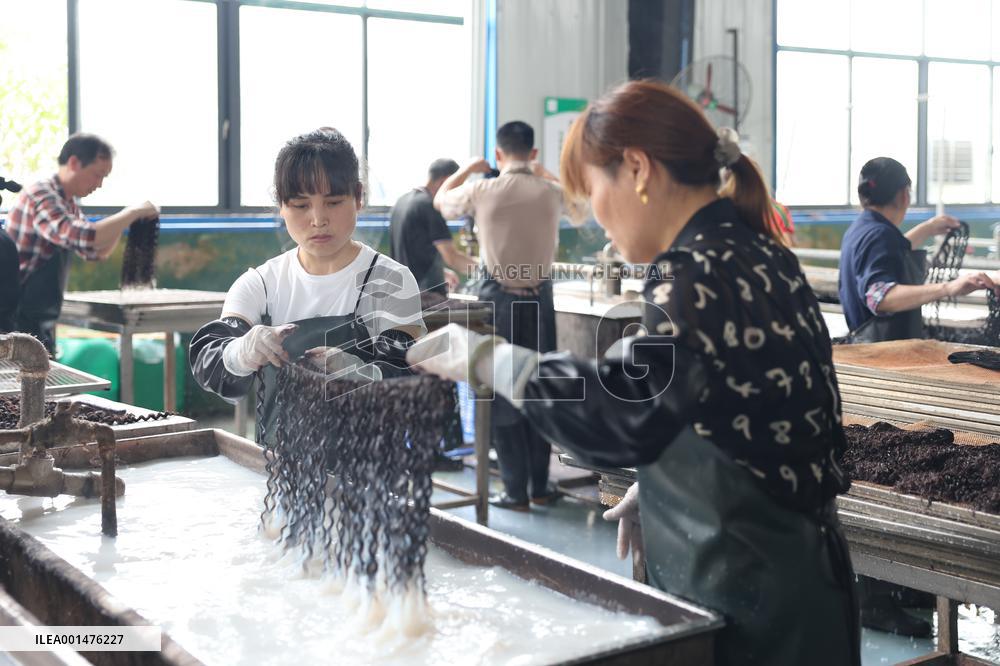 CHINA-HUNAN-SHAOYANG-ECONOMY-WIG(CN)