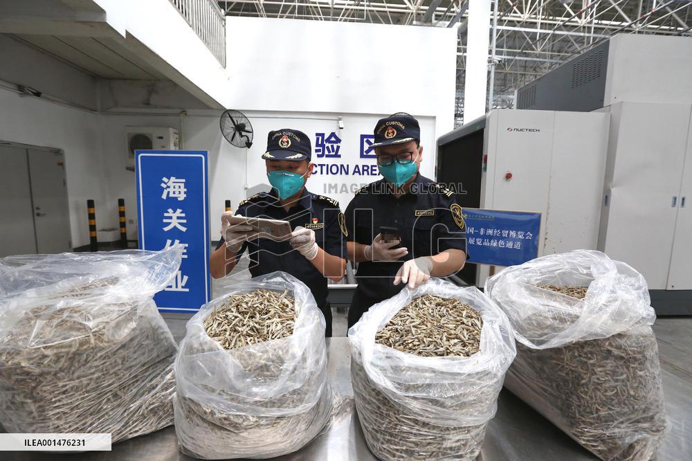 CHINA-CHANGSHA-KENYA-ANCHOVY PRODUCTS-IMPORT (CN)