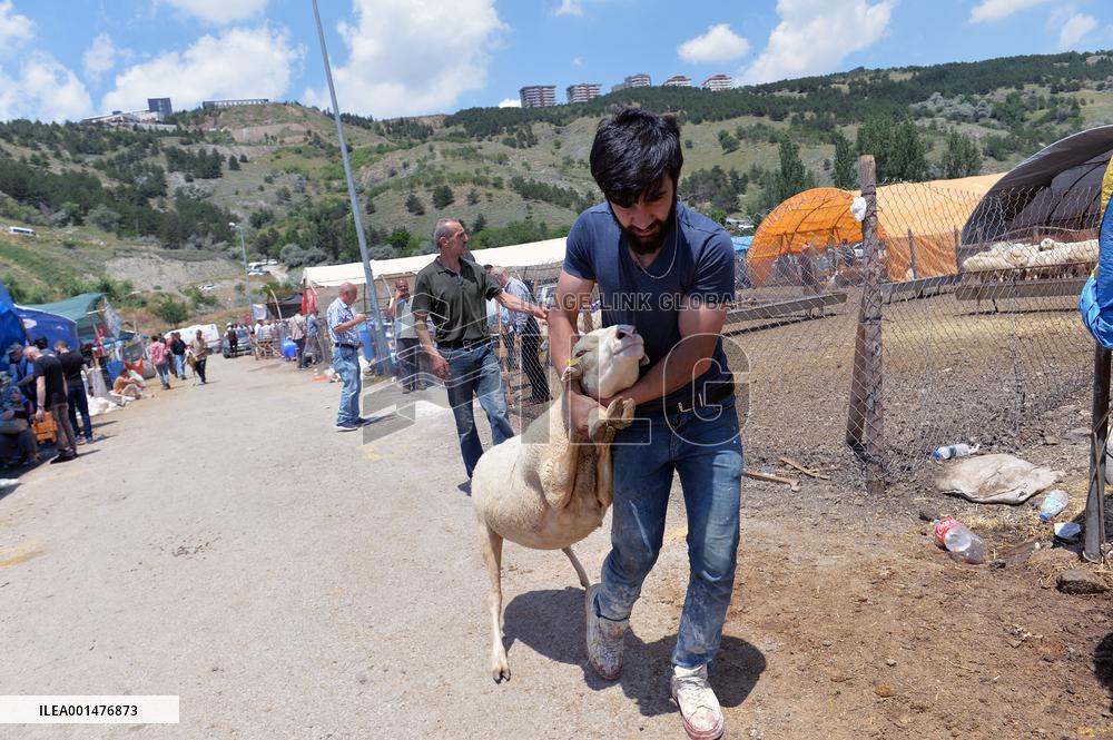 TÜRKIYE-ANKARA-EID AL-ADHA