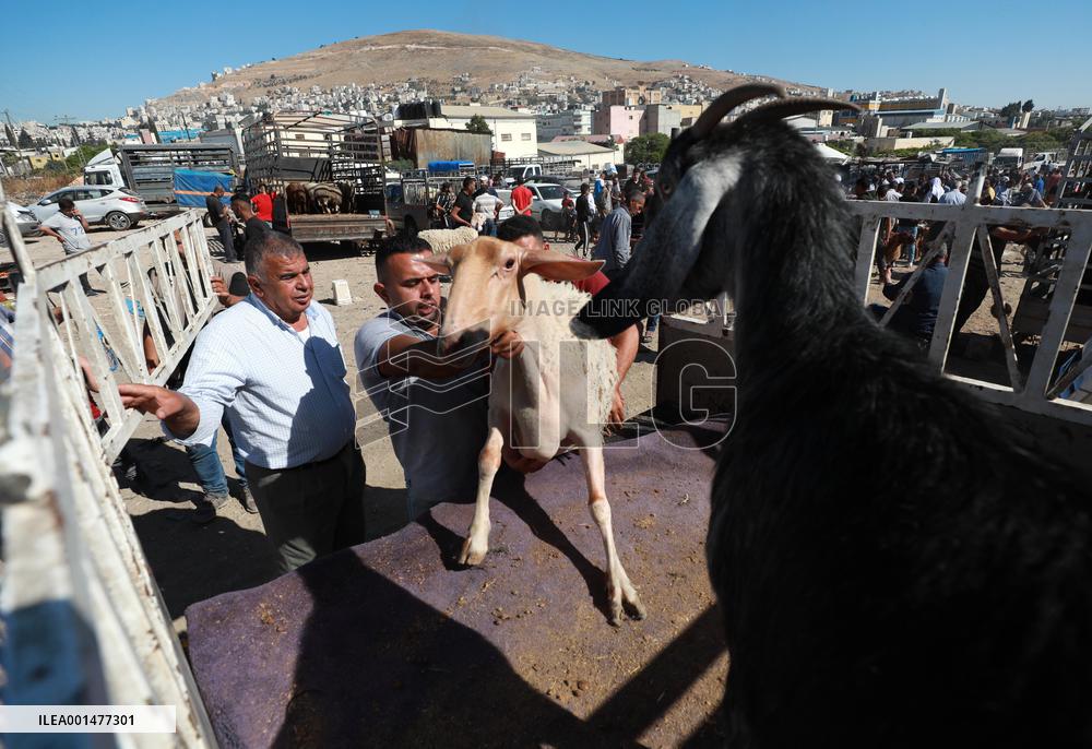 MIDEAST-NABLUS-LIVESTOCK MARKET