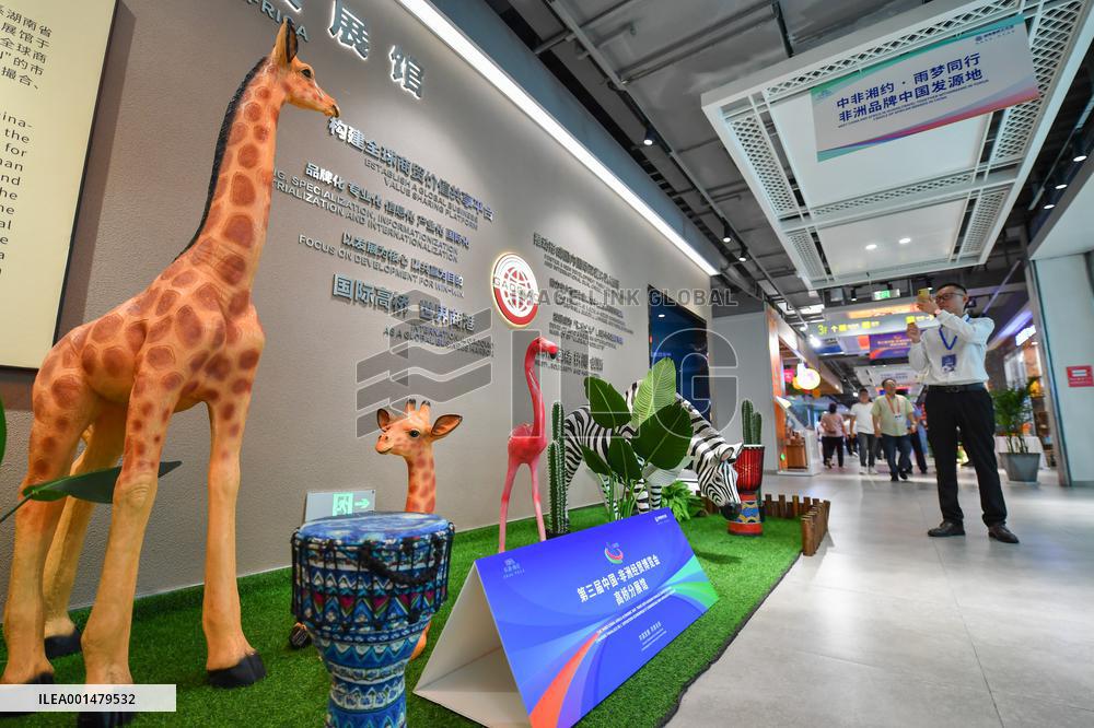 CHINA-HUNAN-CHANGSHA-CHINA-AFRICA ECONOMIC AND TRADE EXPO-OPENING (CN)