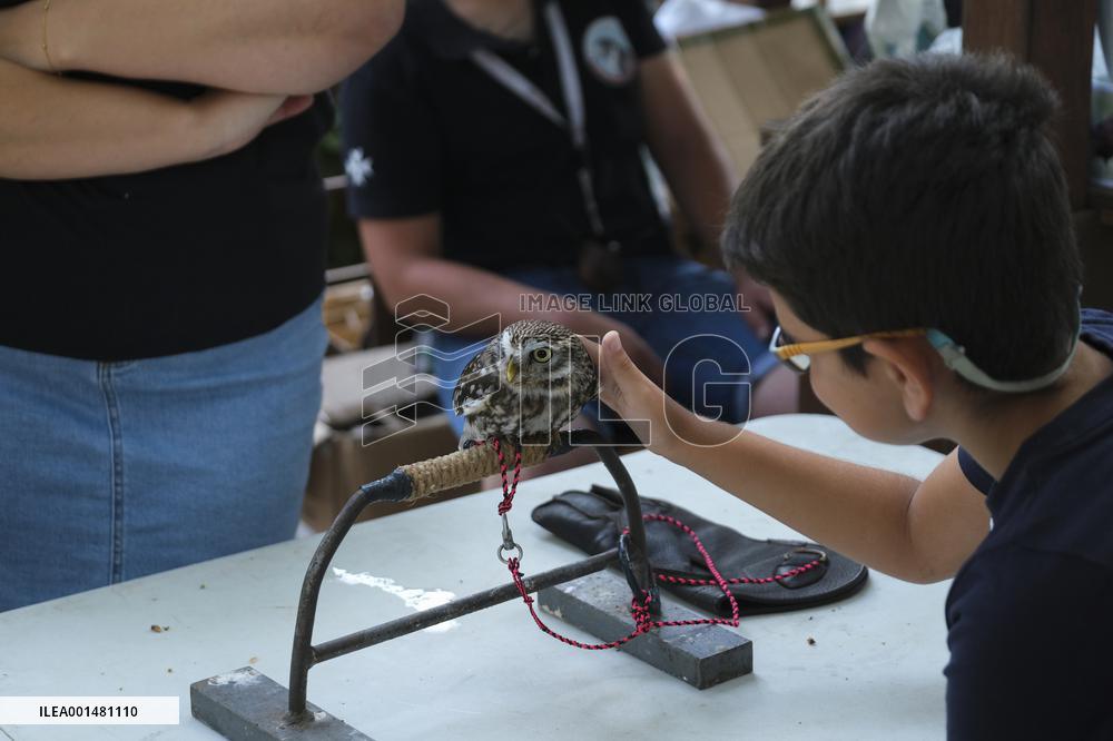 MALTA-SIGGIEWI-TRADITIONAL FESTIVAL