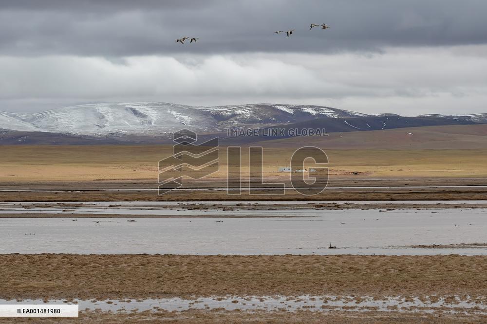 CHINA-YANGTZE RIVER-SOURCE REGION (CN)