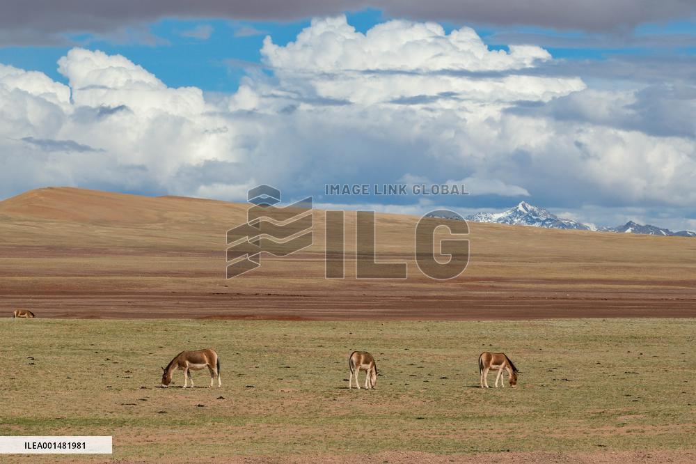CHINA-YANGTZE RIVER-SOURCE REGION (CN)