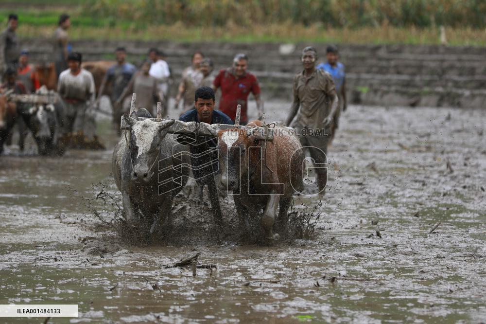NEPAL-NUWAKOT-NATIONAL PADDY DAY