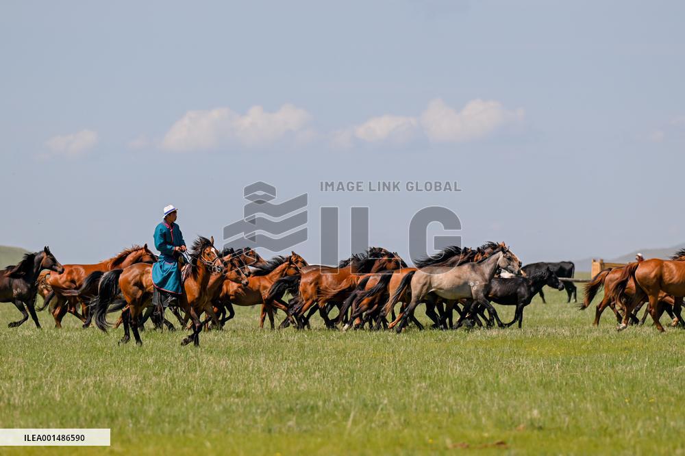 CHINA-INNER MONGOLIA-HULUN BUIR-CULTURE & TOURISM FESTIVAL (CN)