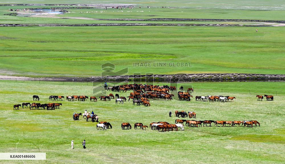 CHINA-INNER MONGOLIA-HULUN BUIR-CULTURE & TOURISM FESTIVAL (CN)