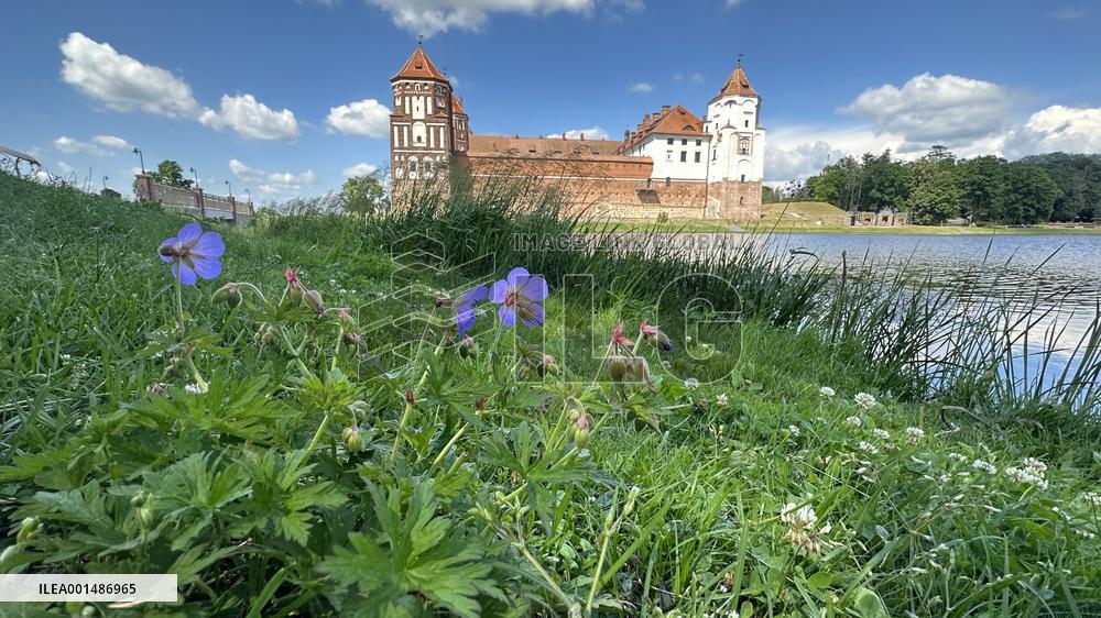 BELARUS-MIR CASTLE COMPLEX-VIEWS