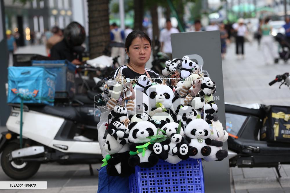 China Chengdu Panda