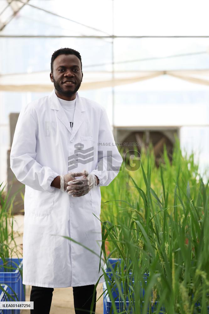 CHINA-HUNAN-NIGERIAN STUDENT-ECOLOGY (CN)