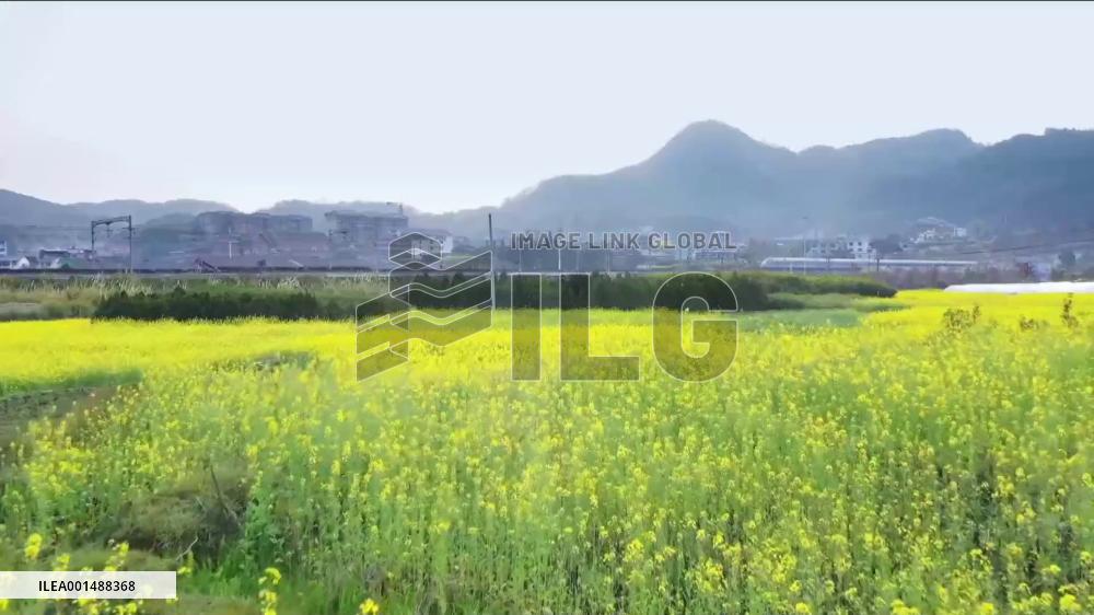 CPC, the soul of Chinese nation, serving interests of its people: Kenyan expert