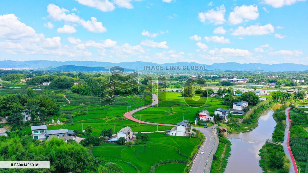 China Most Beautiful Rural Area Liangping Yumi Road