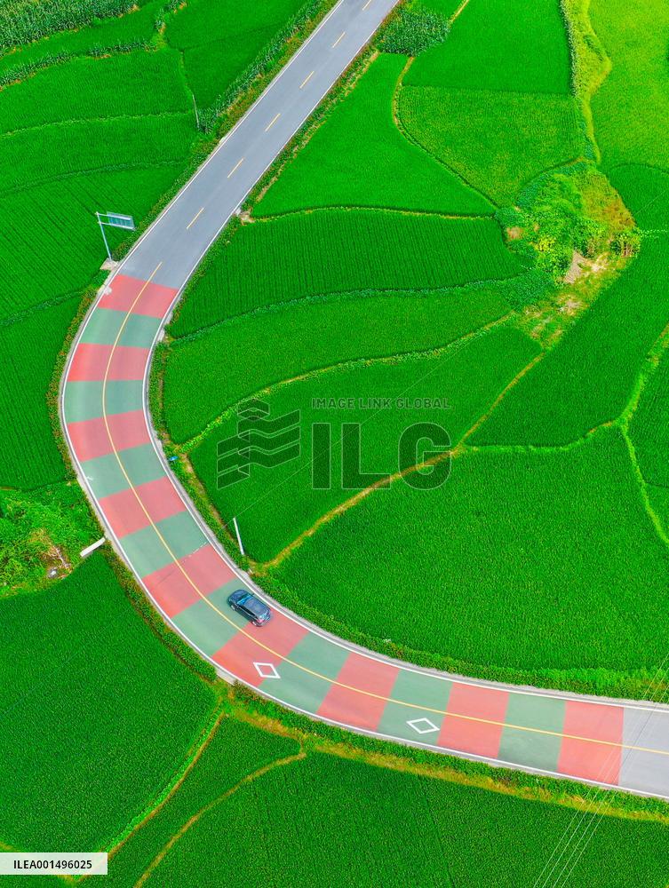 China Most Beautiful Rural Area Liangping Yumi Road