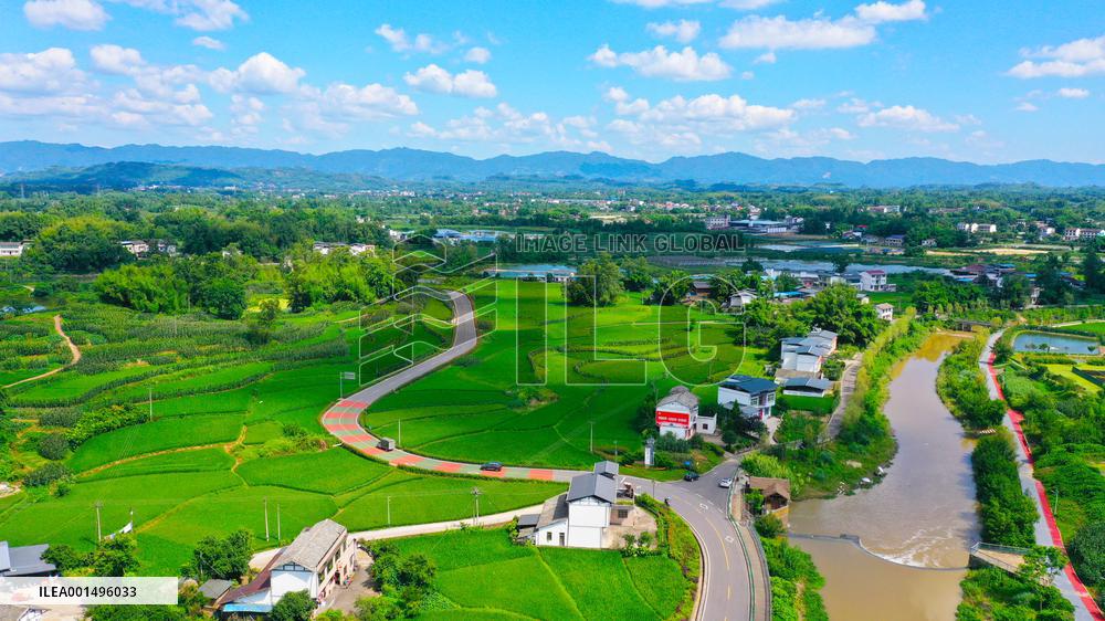 China Most Beautiful Rural Area Liangping Yumi Road