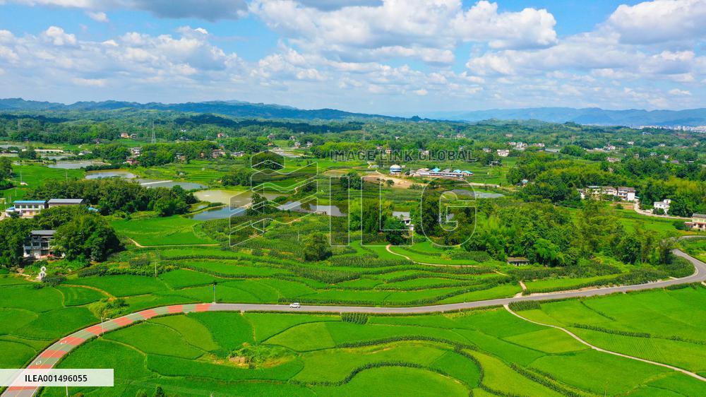 China Most Beautiful Rural Area Liangping Yumi Road