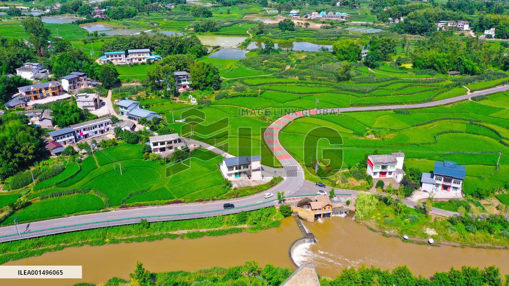 China Most Beautiful Rural Area Liangping Yumi Road